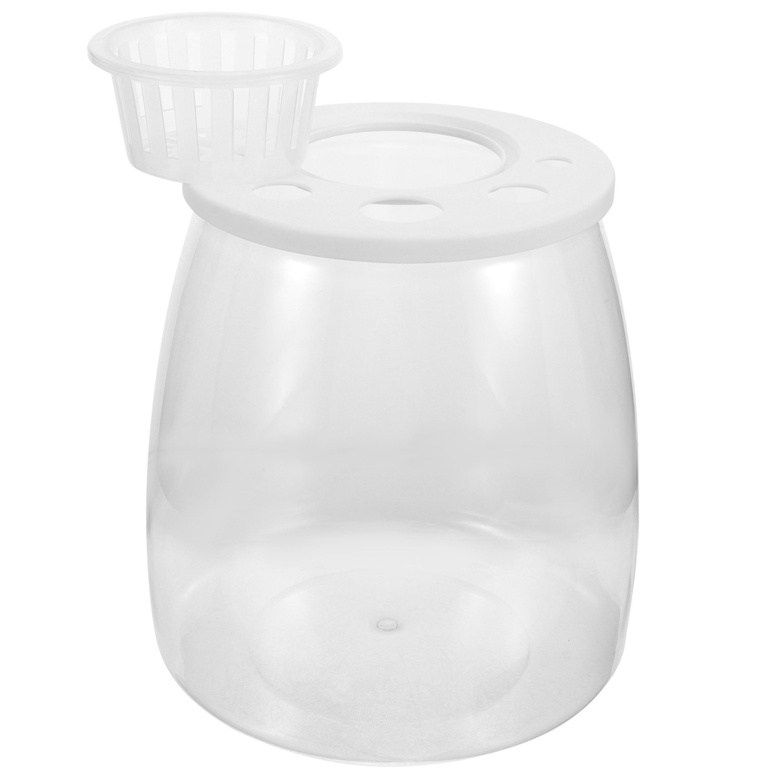 Fish Toy In Aquarium - Plastic Transparent Fish Breeding Box Desktop