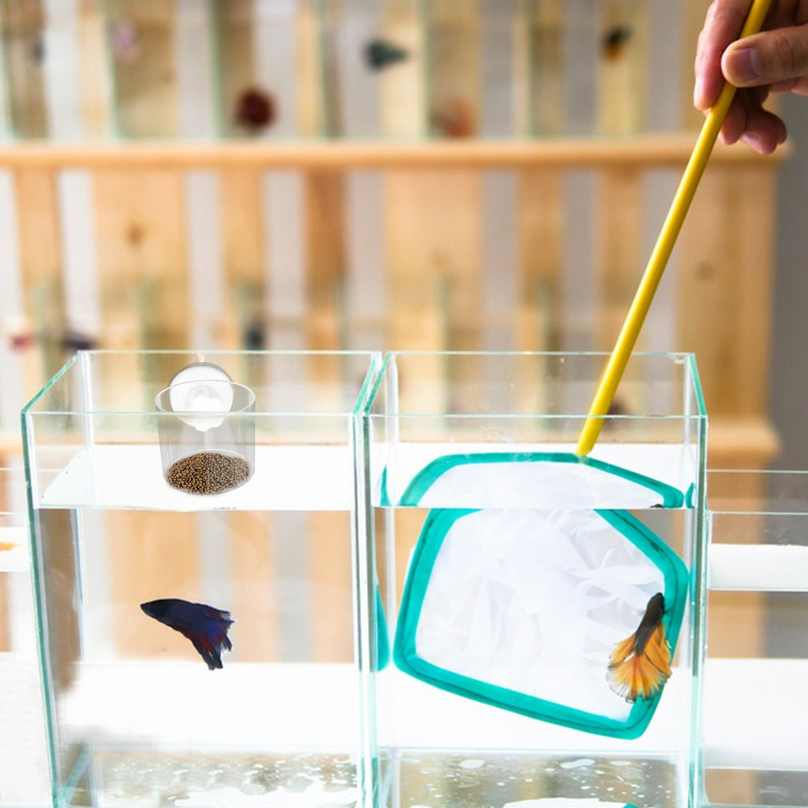 Aquarium Fish Keeping - 2Pcs Aquarium Feeding Ring Fish Feeder