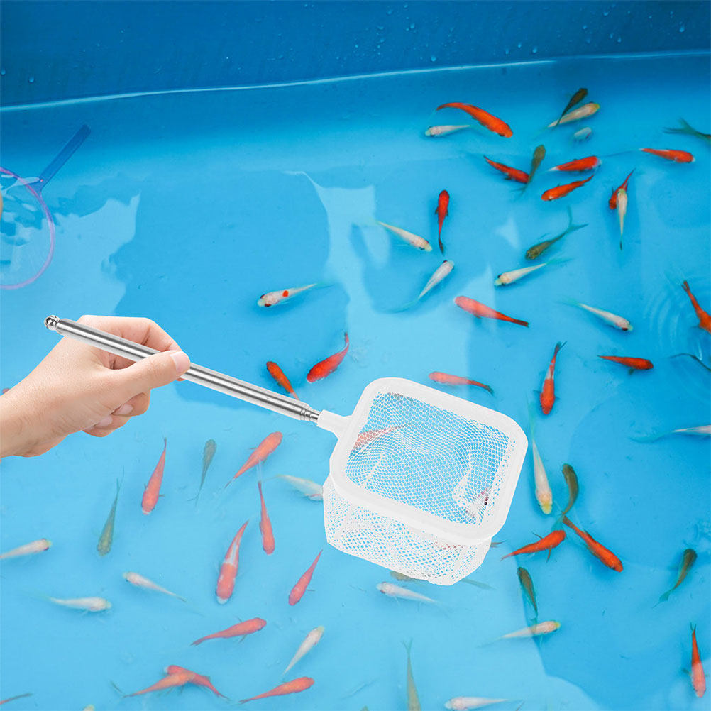 Aquarium Fish Betta - 2Pcs Extendable Stainless Steel Fish Tank