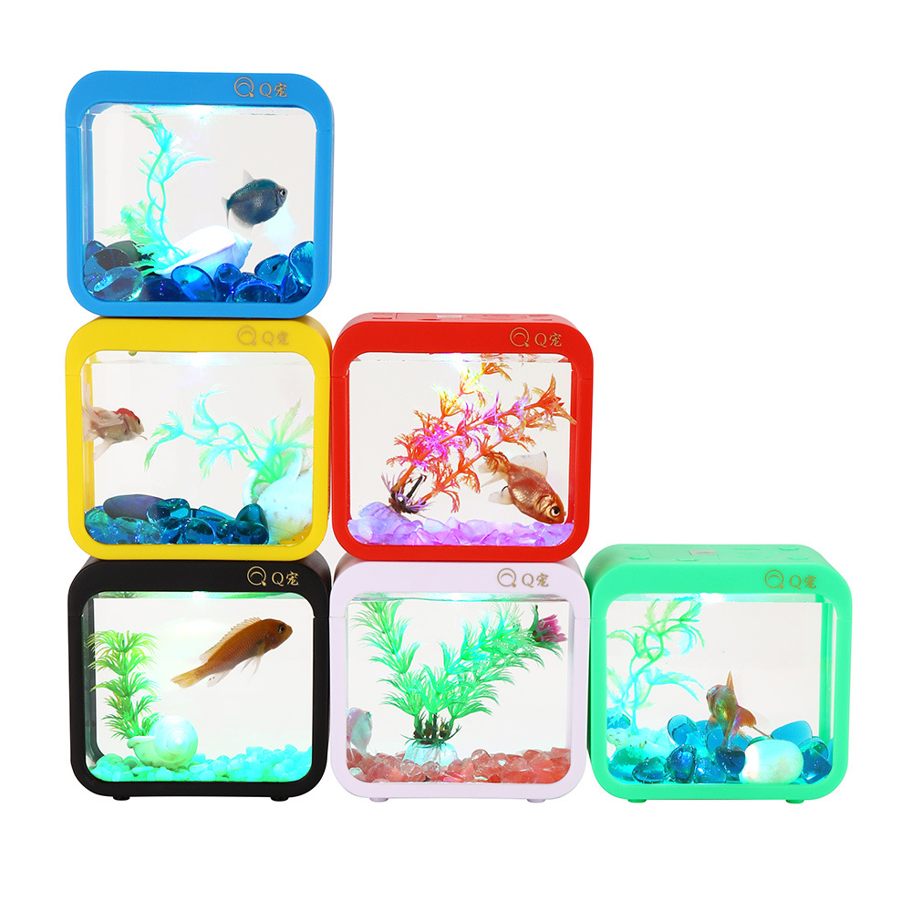 Colorful Creative Betta Box Wi - огляд і ціна Aquarium Fish Betta