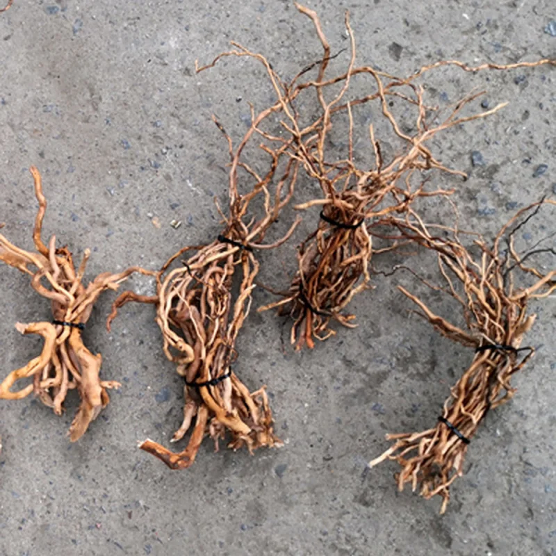 Natural Driftwood Root Trunk T - огляд і ціна Aquarium Fish Artificial