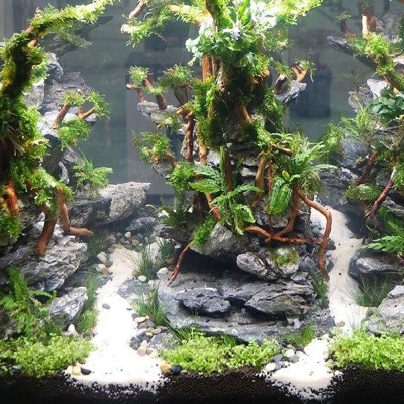 Natural Driftwood Root Trunk T - огляд і ціна Aquarium Fish Artificial