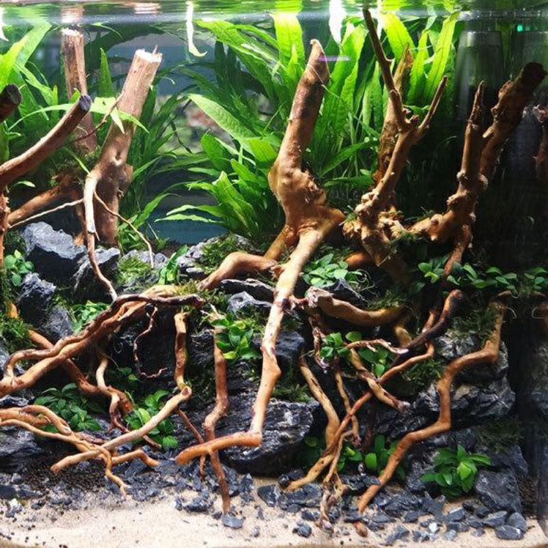 Natural Driftwood Root Trunk T - огляд і ціна Aquarium Fish Artificial