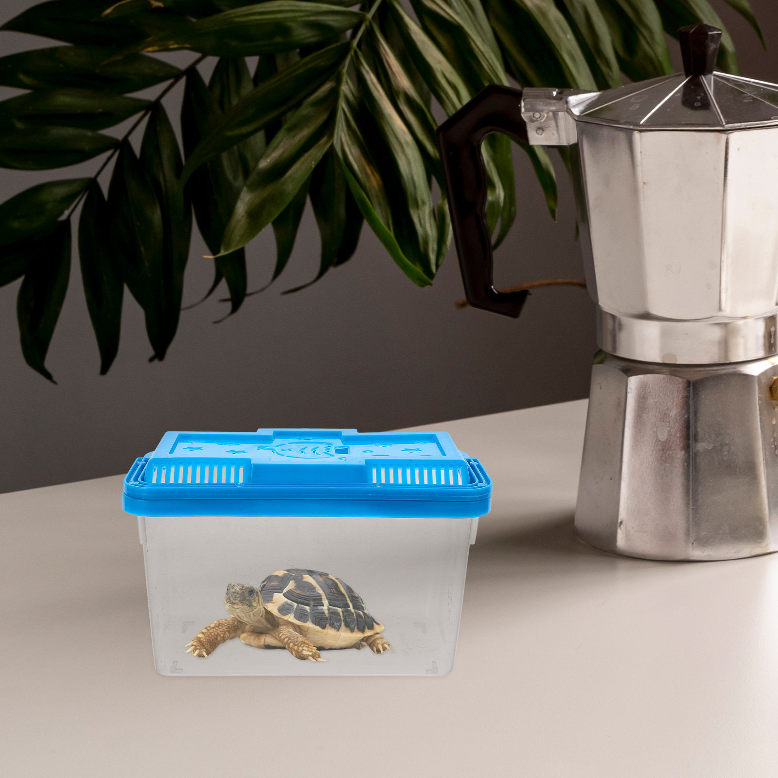Portable Transparent Plastic F - огляд і ціна Fish Toy In Aquarium