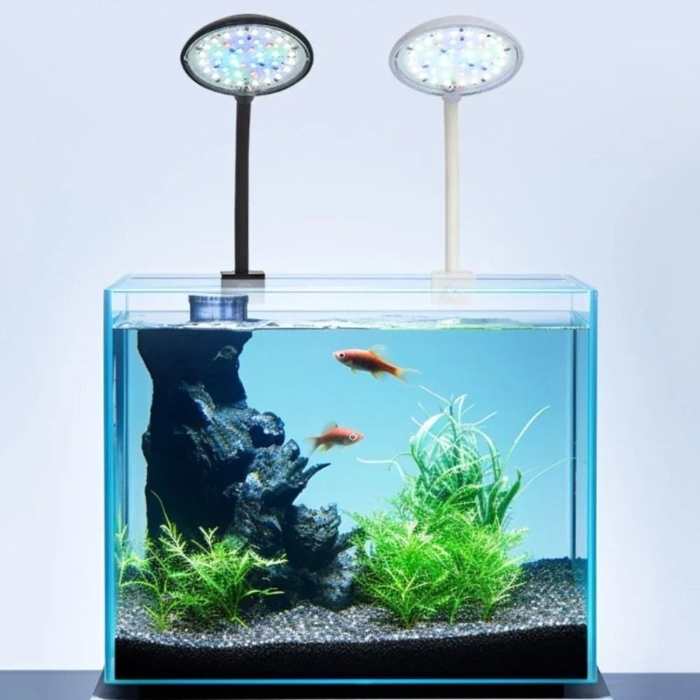 Mini Fish Tank Clip Lamp 360-D - огляд і ціна Live Fish Aquarium