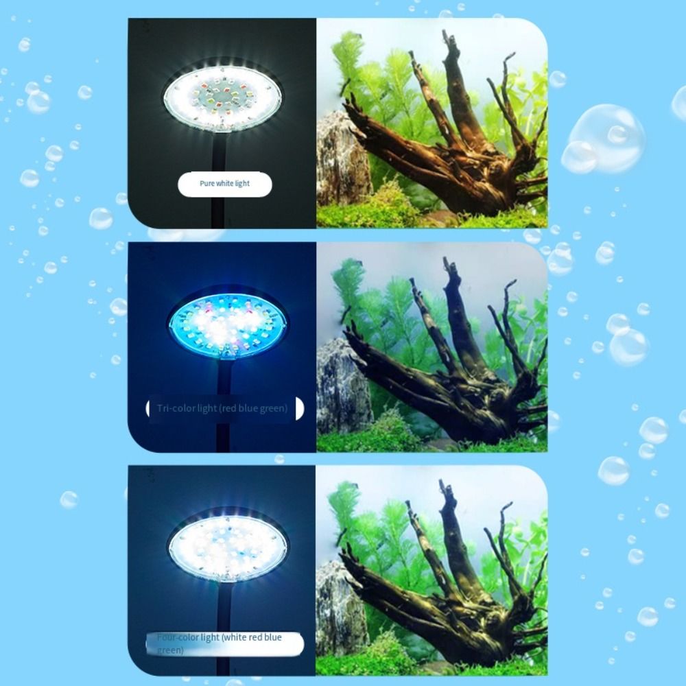 Mini Fish Tank Clip Lamp 360-D - огляд і ціна Live Fish Aquarium