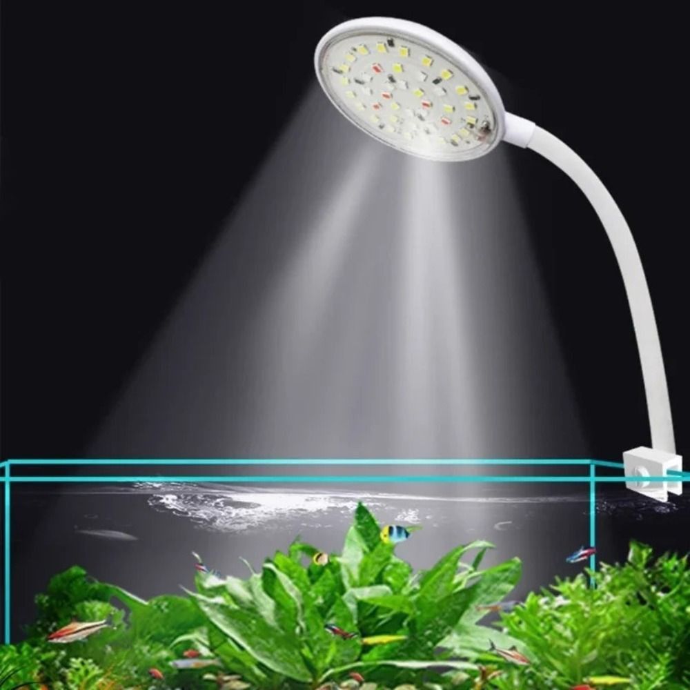 Mini Fish Tank Clip Lamp 360-D - огляд і ціна Live Fish Aquarium