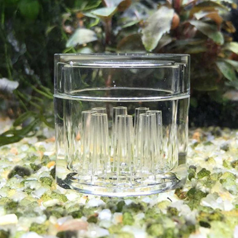 High Transparent  Aquarium Fis - огляд і ціна Aquarium Fish Escape