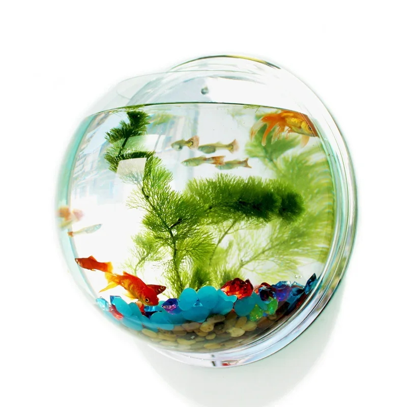 Pinsjar Acrylic Fish Bowl Wall - огляд і ціна Aquarium Fish Betta