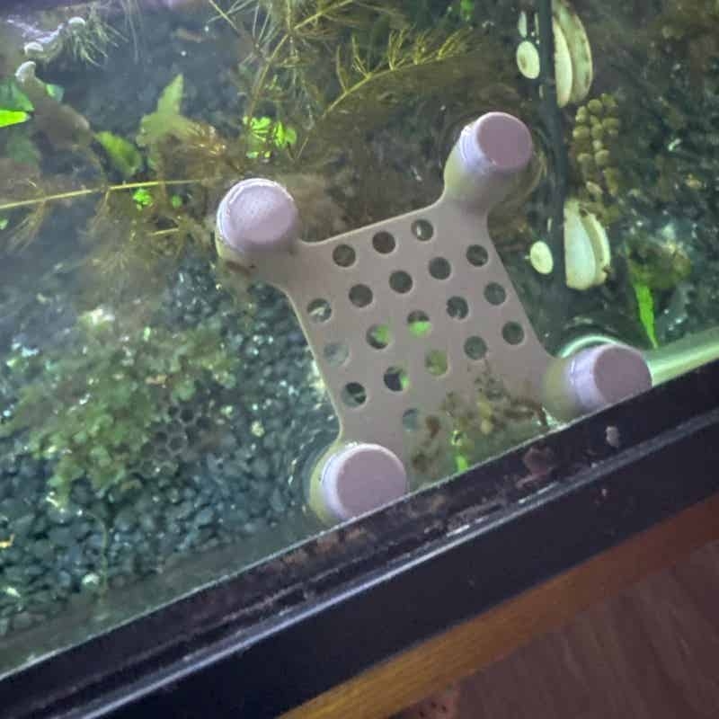 Betta Fish Rest Bed Suction Cu - огляд і ціна Aquarium Fish Escape