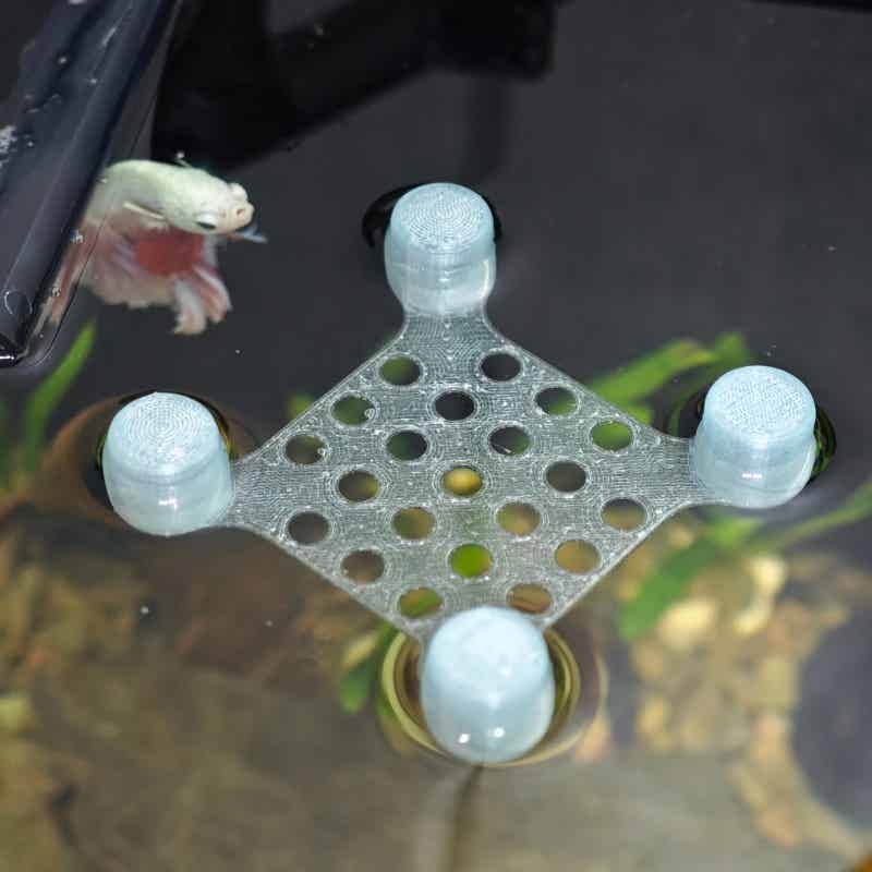 Betta Fish Rest Bed Suction Cu - огляд і ціна Aquarium Fish Escape