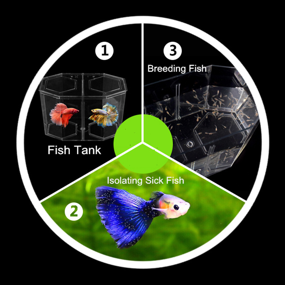 Acrylic Two Splits Guppy Fish  - огляд і ціна Aquarium Fish Betta