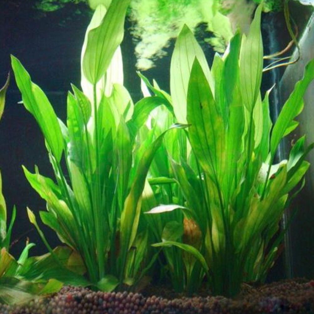 15cm Artificial Aquarium Decor - огляд і ціна Aquarium Fish Artificial