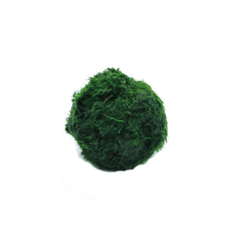 Marimo Moss Balls Live Aquariu - огляд і ціна Aquarium Fish Ball