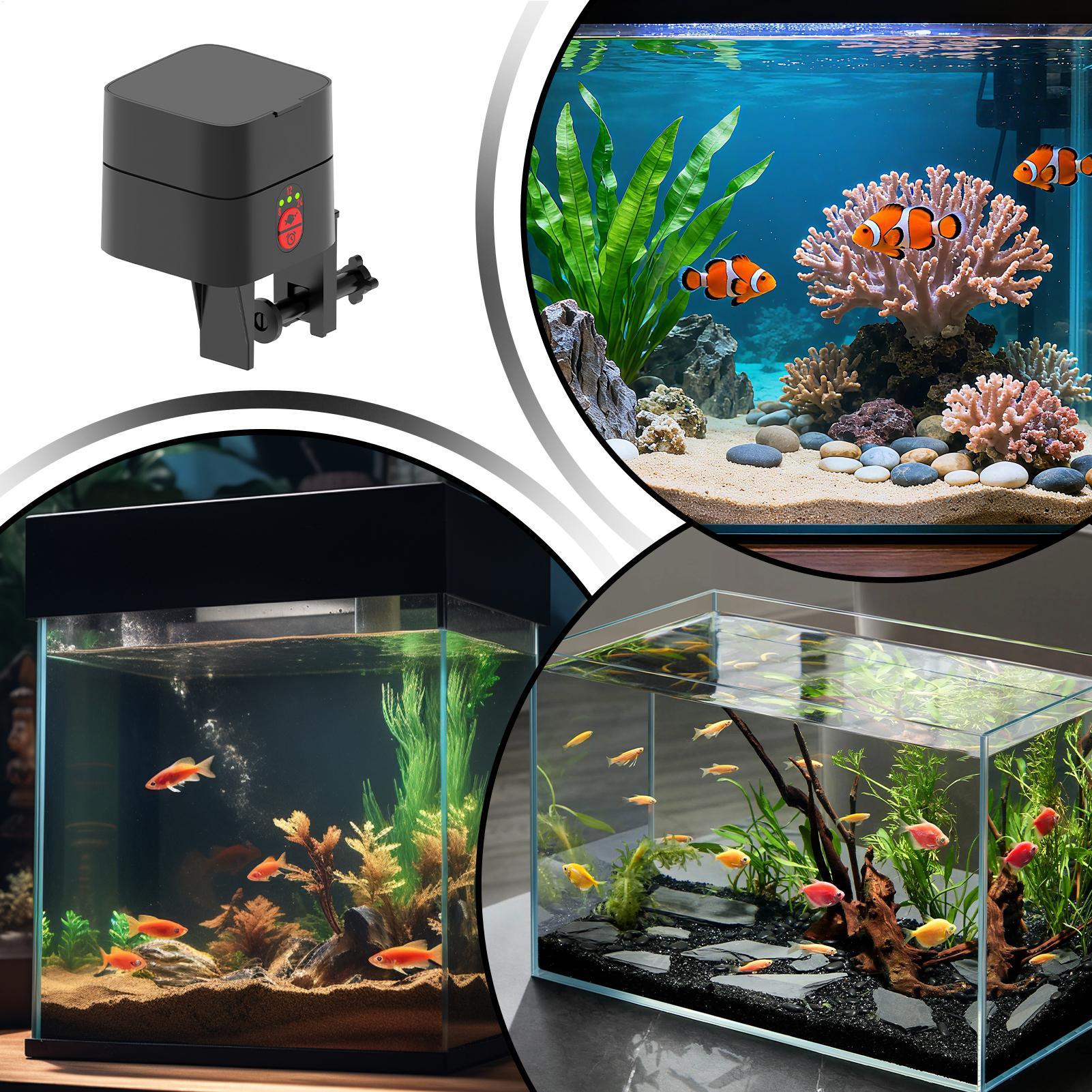 Auto Fish Feeder For Aquarium  - огляд і ціна Fish Toy In Aquarium